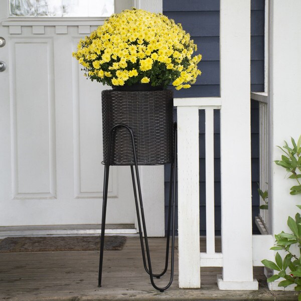 14" Resin Wicker Planter with stand