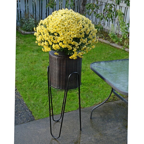 14" Resin Wicker Planter with stand