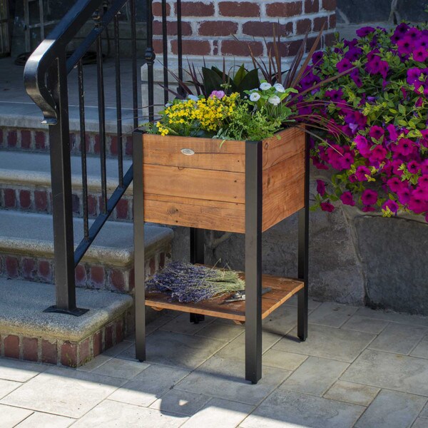 Grapevine Rectangular Wood planter