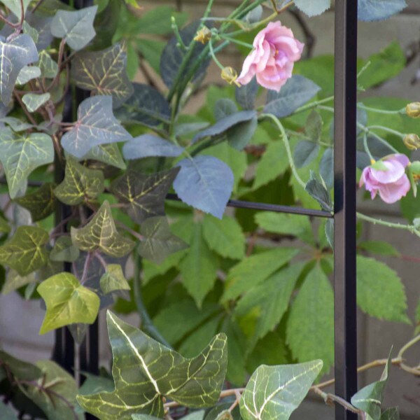 Resin wicker planter with trellis