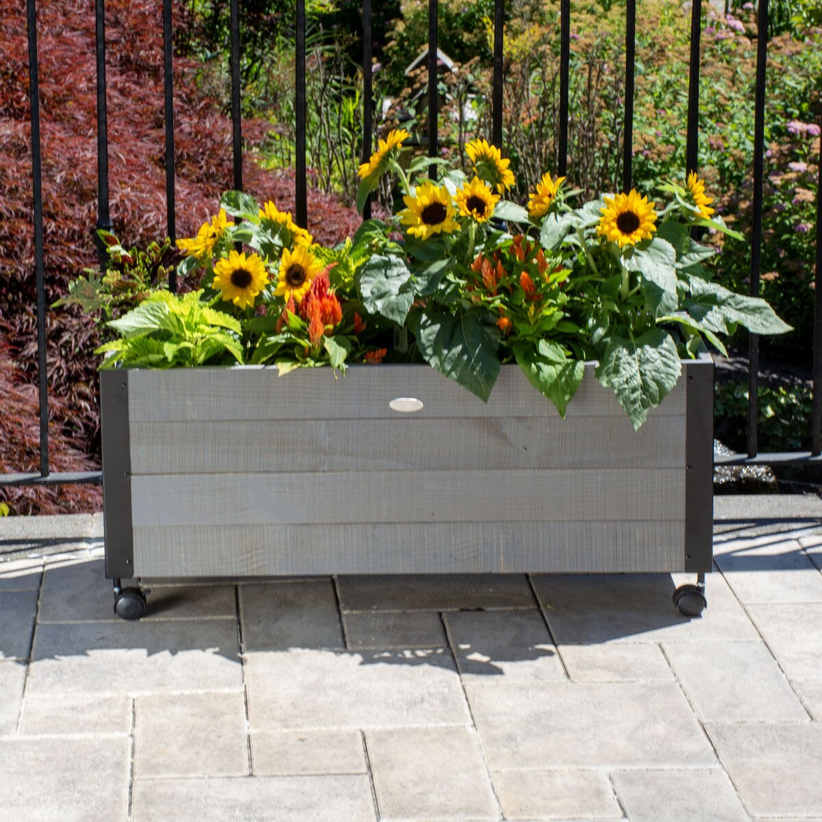 Wood planter with wheels