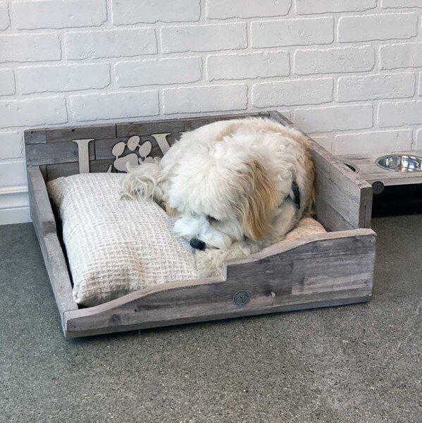 wooden dog bed