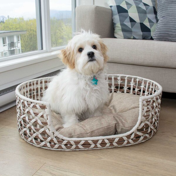 Oval Resin Wicker Pet Bed