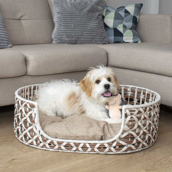 Oval Resin Wicker Pet Bed