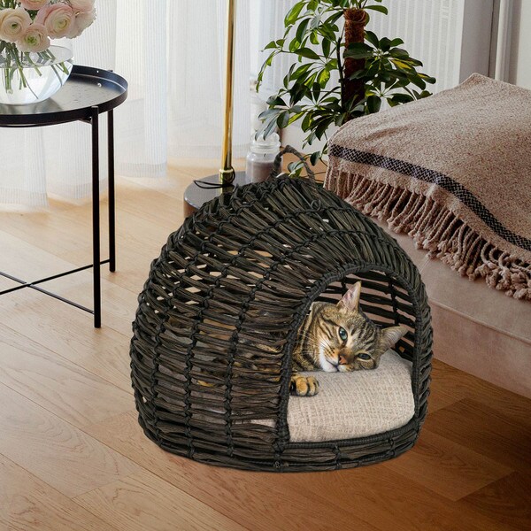 Resin Wicker Hide Away Pet Bed